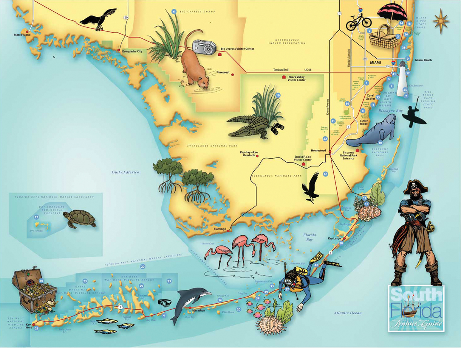 map illustration and artwork for South Florida Treasure Map